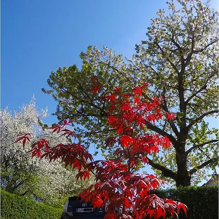 Apartamento Southwest 2 Semi-basement Liubliana