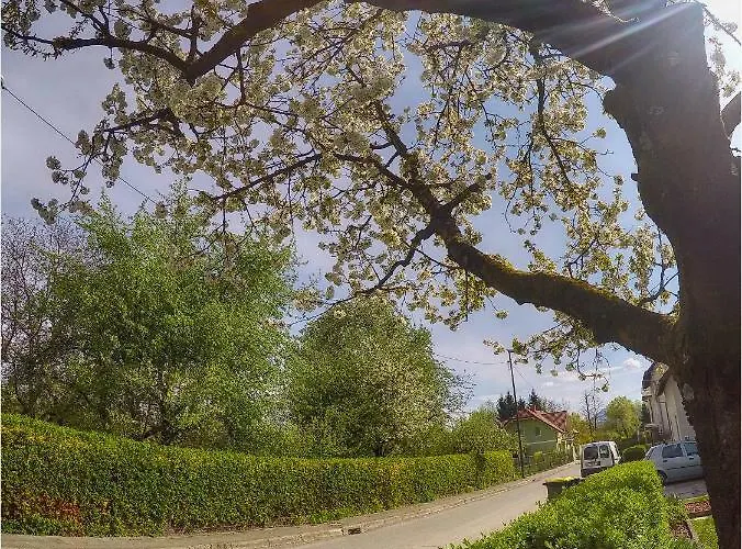 Apartman Southwest 2 Semi-basement *