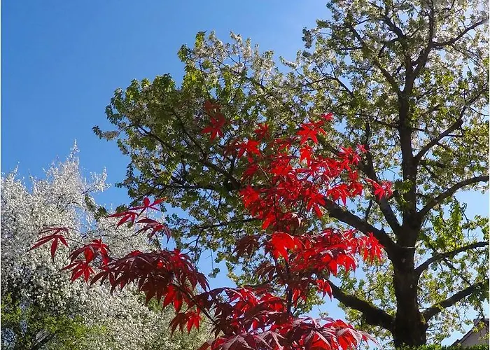 アパート Southwest 2 Semi-basement リュブリャナ