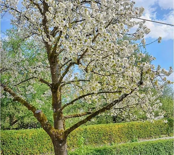 Southwest 2 Semi-basement アパート *