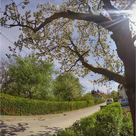 Apartma Southwest 2 Semi-basement *